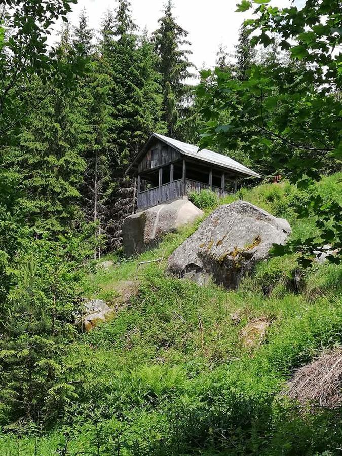 Hotel Complex Pele Zmeitsa Exterior foto
